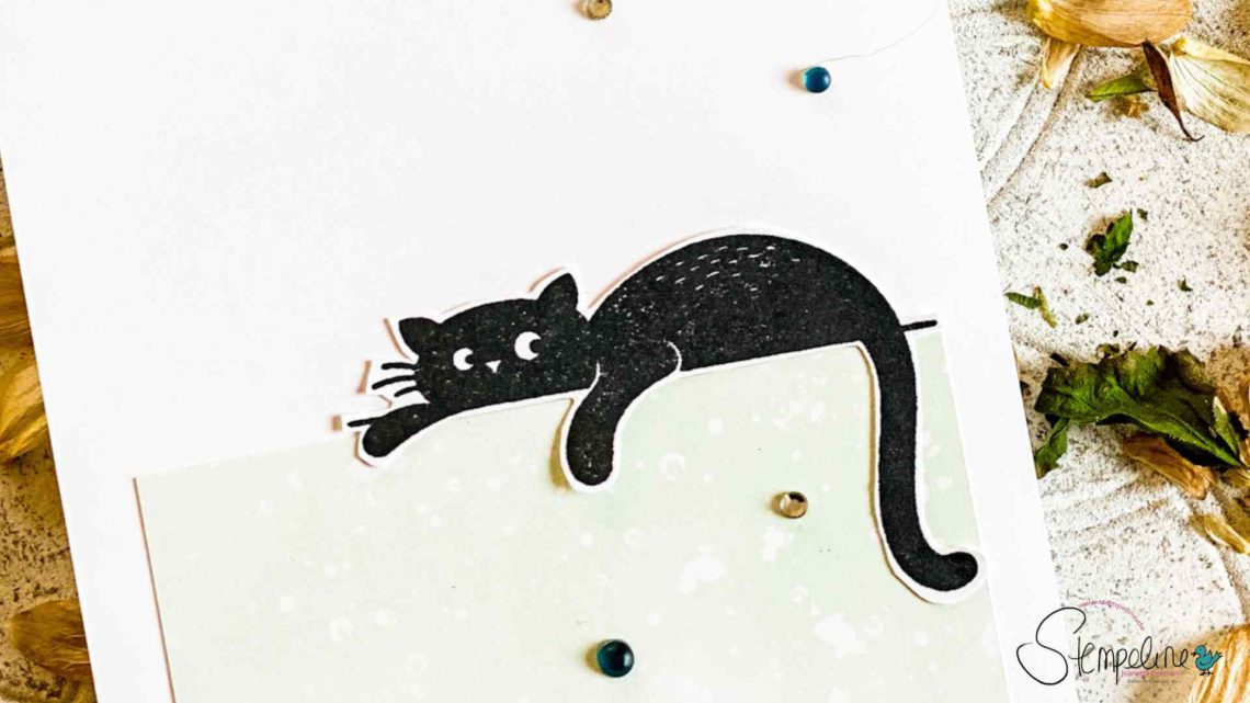 v-lovely-cats-stampin-up