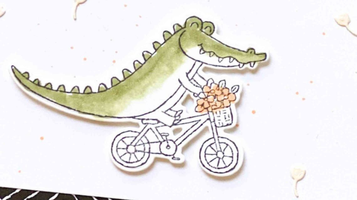 zuckersuesser-zoo-kroko-vor
