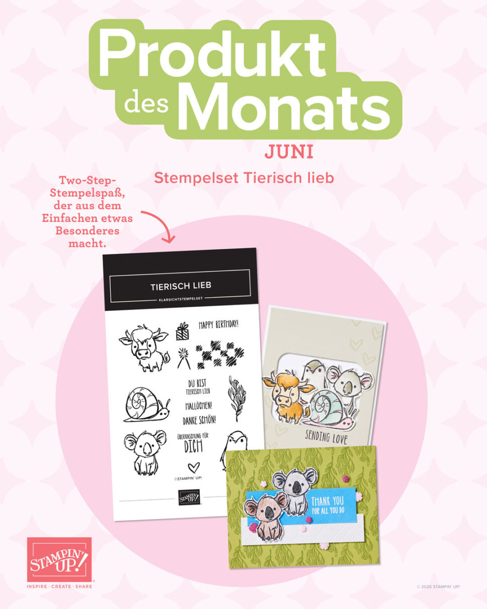 produkt-des-monats-juni26beitr